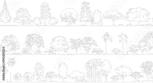Diverse tree line collection featuring various foliage shapes and palm trees nature outline