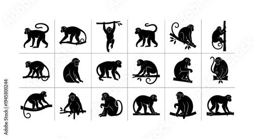 Collection of black monkey silhouettes in various poses on white background for design