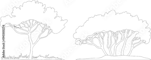Two stylized outline trees one with grass base other on dirt mound nature plant