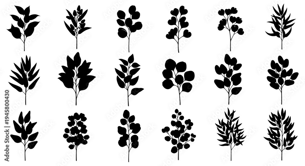 Fototapeta premium Collection of black botanical silhouettes on white background various plants and flowers for design