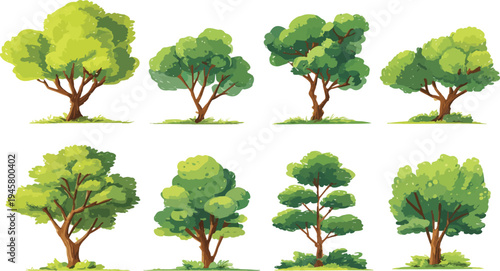 Eight stylized green trees with brown trunks and leafy canopies on white backgrounds nature plant foliage