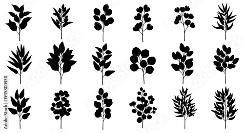 Collection of black botanical silhouettes on white background various plants and flowers for design