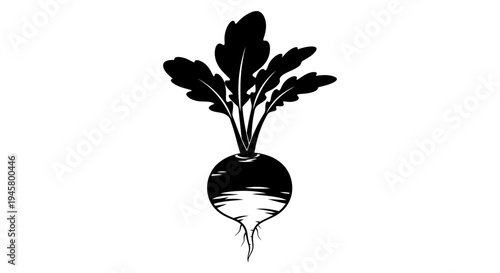 Black silhouette of a turnip with leafy greens on a white background illustration