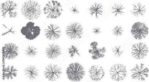 Collection of twenty four grey tree views with detailed branches and foliage patterns on a white background