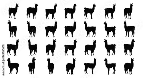 Multiple llama silhouettes in various poses on white background for design use