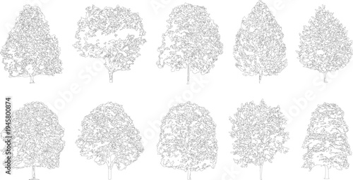 Ten black and white line of various deciduous trees with detailed foliage and trunks nature plant