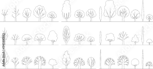 Collection of line deciduous and evergreen trees in various shapes and sizes nature plant plants