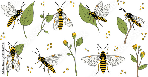 Wasp and Hornet Insect Collection with Botanical Leaves and Flower Elements, Detailed Yellow Black Striped Bug Vector Illustration Set for Nature Entomology Design