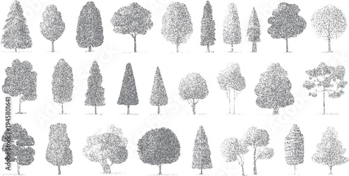 Collection of diverse grey stippled trees in various shapes and sizes on a white background nature plant