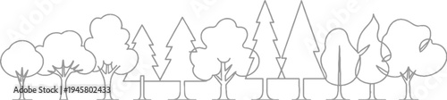 A line of various deciduous and coniferous trees in a row forest nature outline