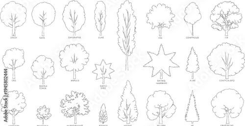 Collection of various tree line with labels including oaks elms maples conifers and other species trees