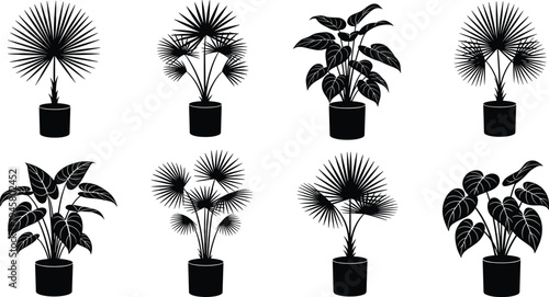 Indoor houseplant silhouettes in pots including tropical foliage plants for home decoration botanical illustration set