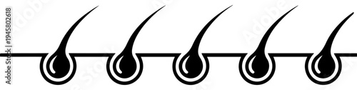 hair follicle treatment line icon