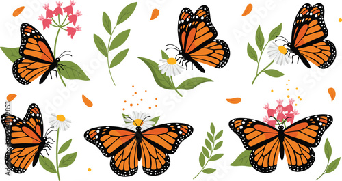 Monarch Butterfly Collection with Floral Elements and Botanical Leaves, Colorful Nature Insect Vector Illustration Set Isolated on White Background for Spring Design