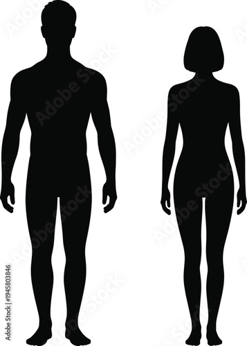 Male and female human body silhouettes isolated on white background, full length anatomy figures for medical, fitness, avatar, and design use