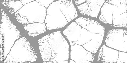 Abstract grayscale pattern of intersecting branches and fine root like structures on white background