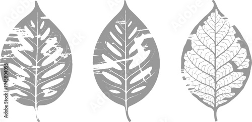 Three grey leaf silhouettes with distressed textures and vein patterns white