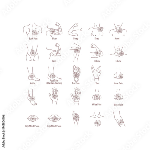 Human body pain location chart with various body parts labeled