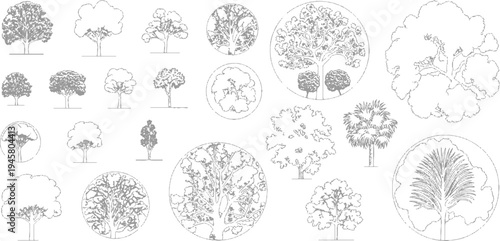 Collection of detailed grey line of various trees and palm trees in different styles and sizes palms