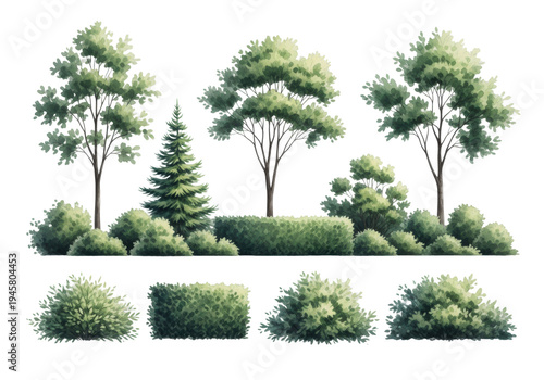Detailed watercolor illustrations of various green trees, bushes, and hedges, presented in 2d elevation view on a seamless transparent background, technical landscape design assets concept.