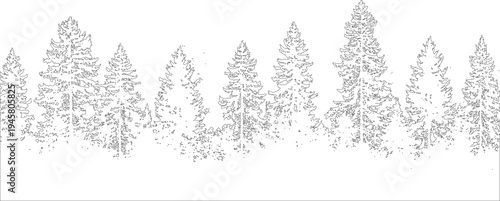 Black and white line of a forest of pine trees with varied heights and densities nature evergreen