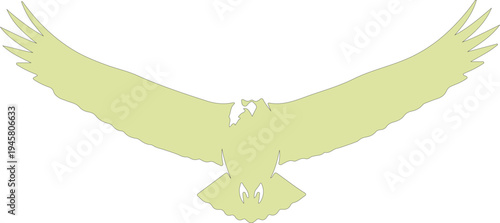 Silhouette of a bird in flight with spread wings green