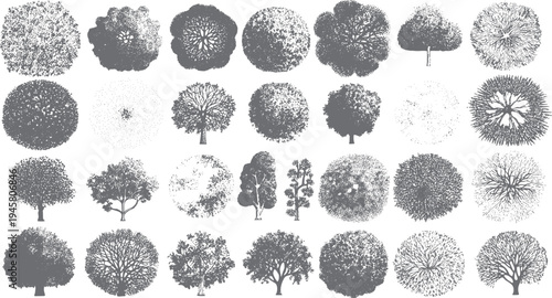 Collection of diverse grey tree silhouettes viewed from above and side profiles