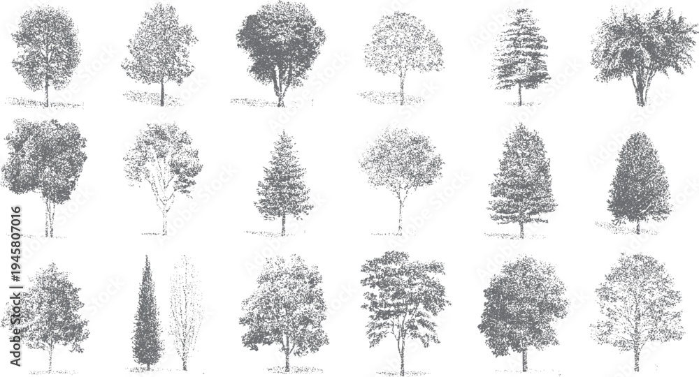 Fototapeta premium Collection of diverse grey trees rendered in stippling style on a white background. Various tree shapes and sizes are depicted