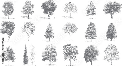 Collection of diverse grey trees rendered in stippling style on a white background. Various tree shapes and sizes are depicted