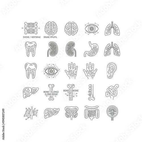 A collection of human body part illustrations