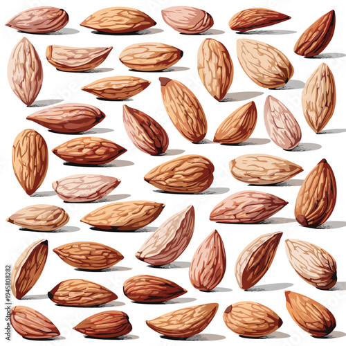 Photorealistic Raw Almond Nuts Collection Set Vector Illustration