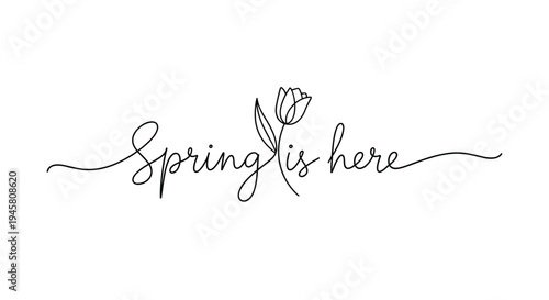 Elegant handwritten script spring is here with a delicate line art tulip flower integrated into the calligraphy.