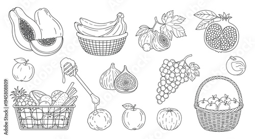 Collection of hand drawn fruit sketches including bananas, papaya, pomegranate, grapes, apples, figs, and honey.