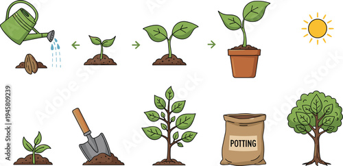 Plant growth process collection from seed germination to tree with watering gardening tools vector illustration set