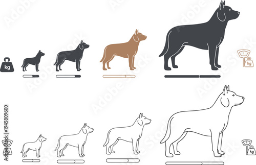 Dog Growth Stages Illustration Showing Puppy to Adult Dog Size Progression with Weight Scale and Pet Development Diagram