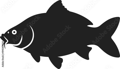 Black silhouette of a common carp fish for recreational fishing industry and aquatic wildlife conservation concepts isolated on white