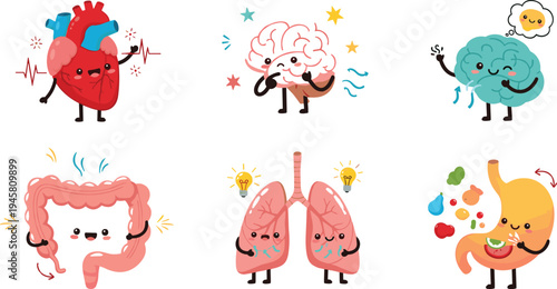 Cute Cartoon Human Organs Character Illustration Set with Heart Brain Lungs Intestines and Stomach for Medical Education