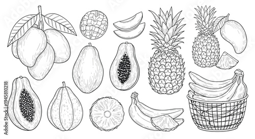 Detailed black and white line art of tropical fruits including mangoes papayas pineapples and a basket of fresh bananas.