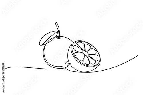 Continuous line drawing of a sliced orange with a stem and segment