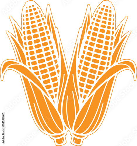 Illustration of two fresh corn cobs with husks and leaves
