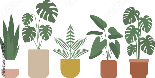 Collection of modern indoor houseplant illustrations in decorative ceramic pots for home office decor and interior design.