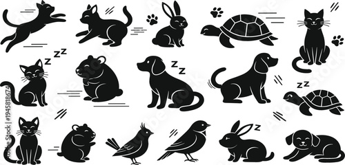 Pet animal silhouette set with cats, dogs, rabbits, turtles and birds in different poses, cute black animal icons collection for design