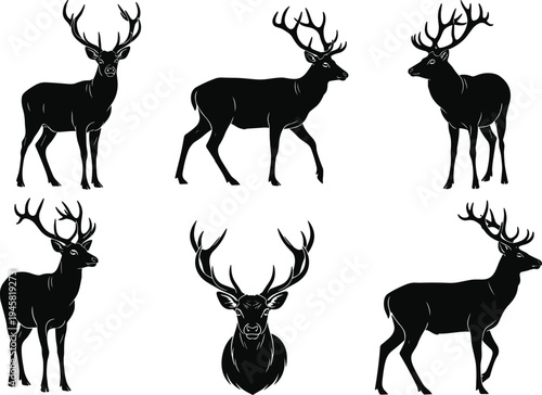Deer and stag silhouette collection with large antlers in multiple poses, wildlife animal vector set including standing, walking and head icon isolated