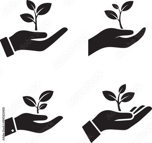 Hands nurturing young plants in a symbolic gesture of care and growth