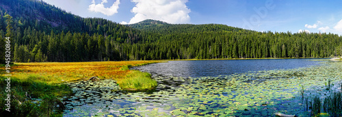 Tableau sur toile Panorama des Großen Arbersees im Bayerischen Wald mit moorigen Verlandungszone I