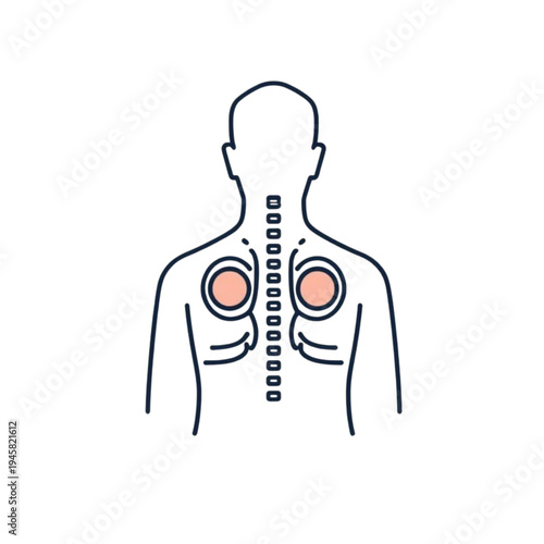 Human Anatomy Icon: Spine Heart Lungs Back View Outline. Ai generated