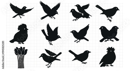 set of birds
