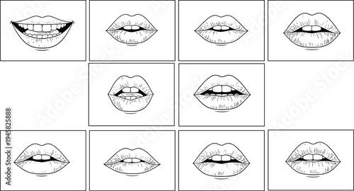 Lips expressions vector illustration with multiple mouth shapes, smiles, open mouths, puckered lips, teeth, and tongue variations