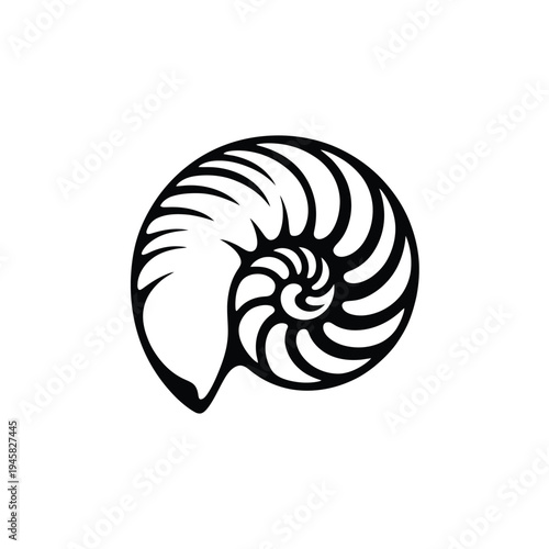 Black and white illustration of a nautilus shell with spiral pattern