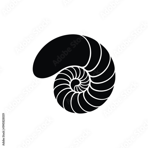 A striking black and white illustration of a nautilus shell spiral